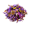 Rapéh Blauwe Lotus