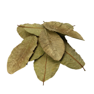 Guanabana zuurzak (losse bladeren)